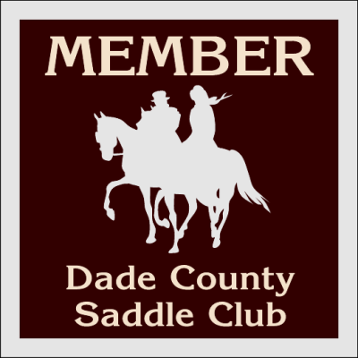 spot color static cling squares & rectangles with rounded corners shape decals on clear face adhesive material.