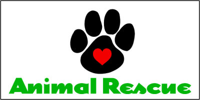 Item #11707 4.00" x 2.00" rectangles & squares with square corners spot color white sticker