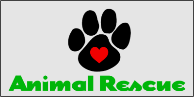 Item #11708 4.00" x 2.00" rectangles & squares with square corners spot color clear sticker