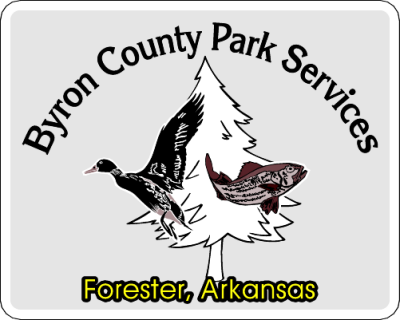 Item #16409 5.00" x 4.00" squares & rectangles with round corners spot color clear sticker