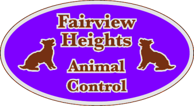 Item #21008 5.50" x 3.00" ovals spot color clear sticker