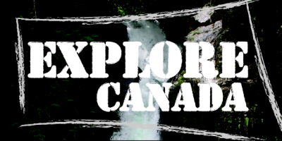 Item #33609 8.00" x 4.00" rectangles & squares with square corners full color clear sticker