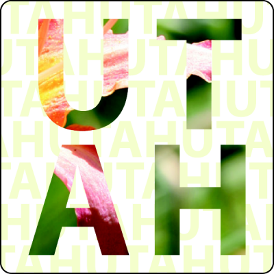 Item #35007 3.00" x 3.00" rectangles & squares with square corners full color white sticker