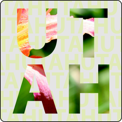 Item #35009 3.00" x 3.00" squares & rectangles with round corners full color clear sticker