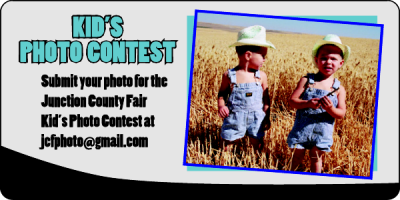 Item #35609 4.00" x 2.00" squares & rectangles with round corners full color clear sticker