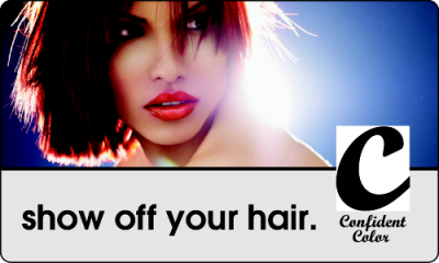 Item #36209 5.00" x 3.00" squares & rectangles with round corners full color clear sticker