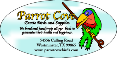 Item #41207 6.00" x 3.00" ovals 4-color process white sticker