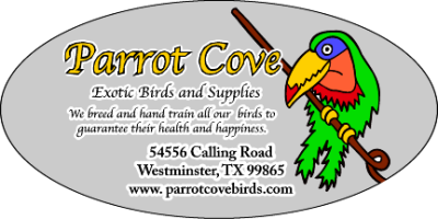 Item #41209 6.00" x 3.00" ovals 4-color process clear sticker