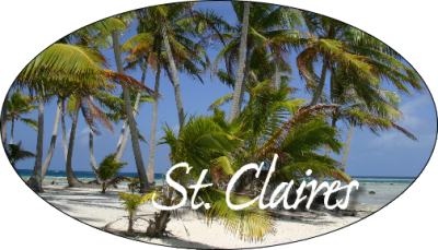 4-color process static cling oval shape decals on white back adhesive material.