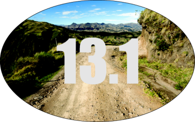 Item #41809 8.00" x 5.00" ovals 4-color process clear sticker